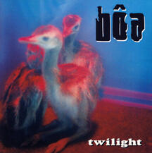 Twilight -- bôa